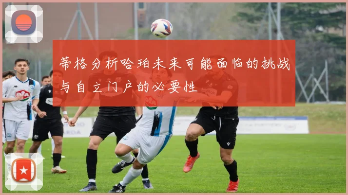 蒂格分析哈珀未来可能面临的挑战与自立门户的必要性
