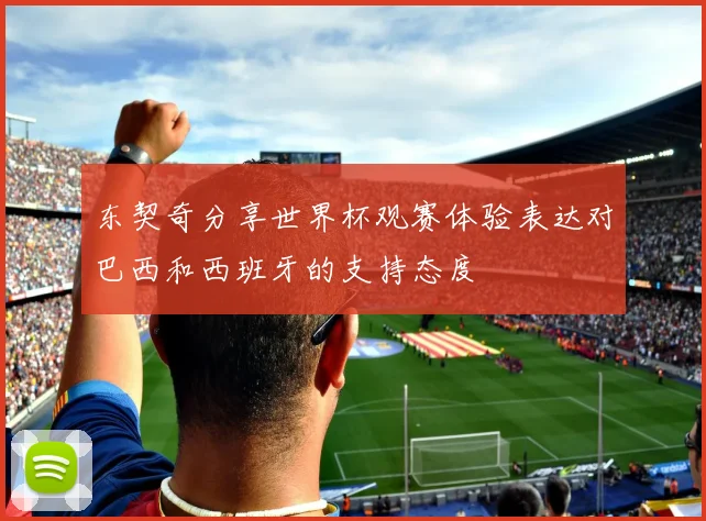 东契奇分享世界杯观赛体验表达对巴西和西班牙的支持态度