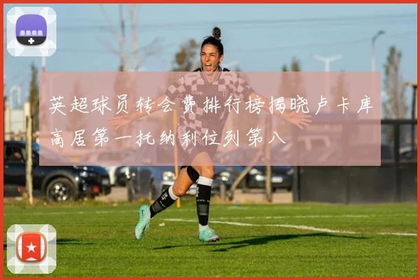 英超球员转会费排行榜揭晓卢卡库高居第一托纳利位列第八