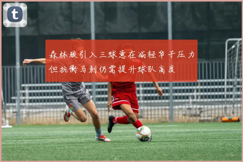 森林狼引入三球意在减轻华子压力但抗衡马刺仍需提升球队高度